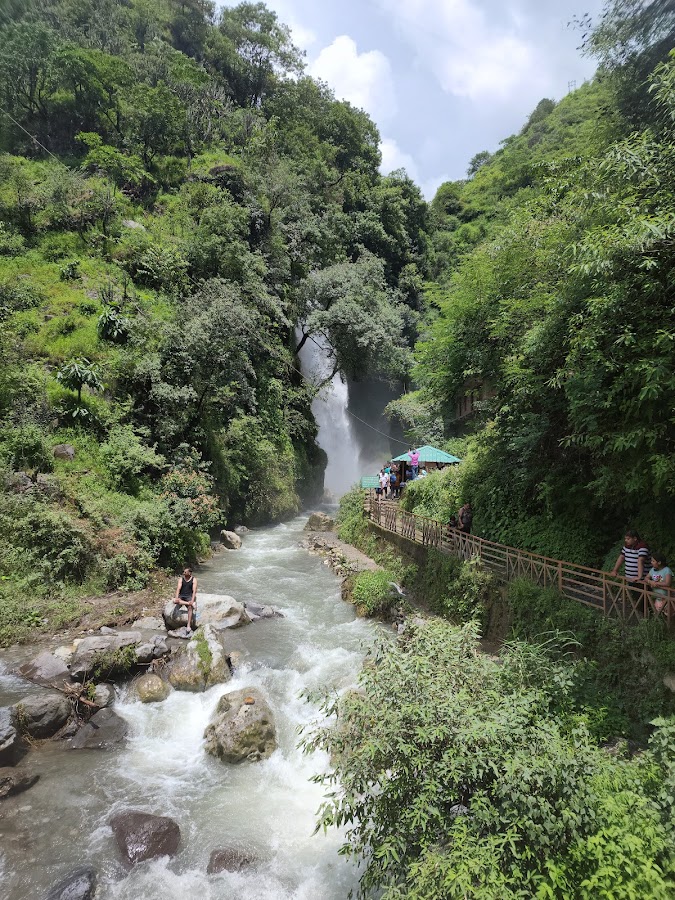 Tiger Fall - Photo 3