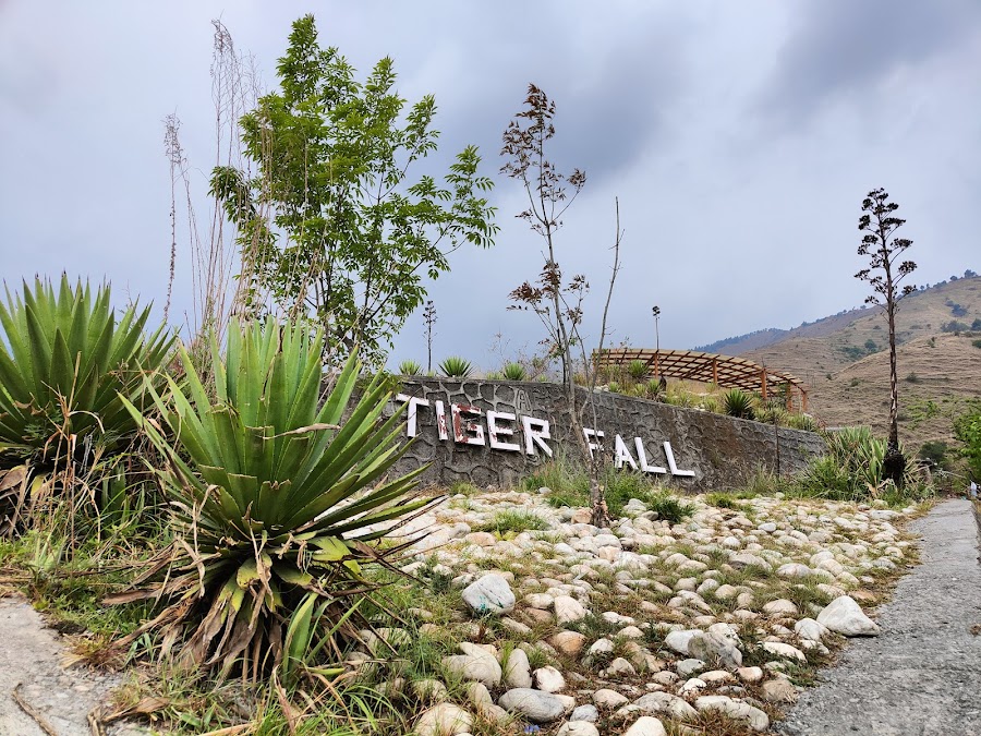 Tiger Fall - Photo 4