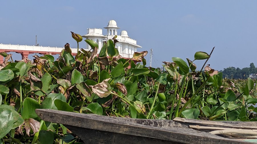 Rudrasagar Lake - Photo 6