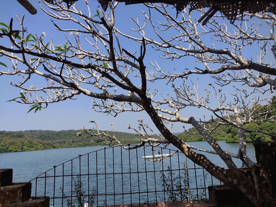 Dhamapur Lake - Photo 3