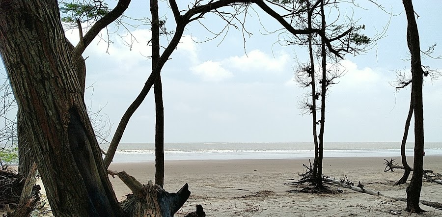 Talsari Beach - Photo 10