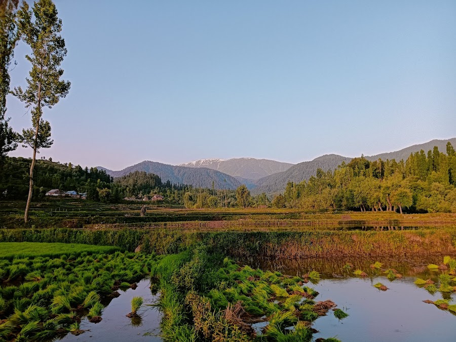 Ningle Nallah - Photo 2