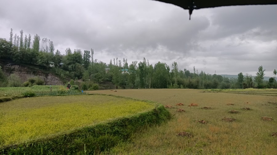Ningle Nallah - Photo 3