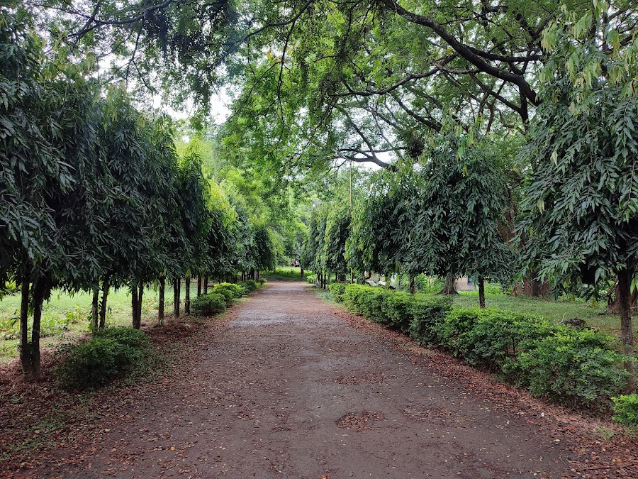 North East Zone Cultural Centre - Photo 2