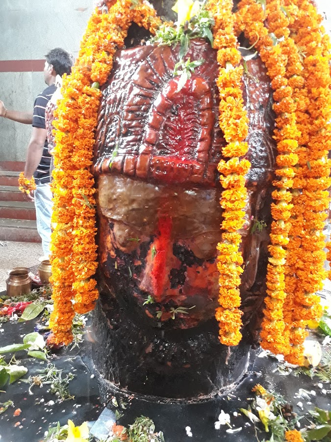 Chaumukhi Mahadeva Temple - Photo 3