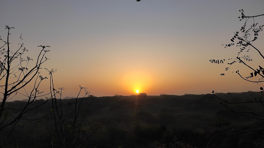 Aravalli Biodiversity Park - Photo 3