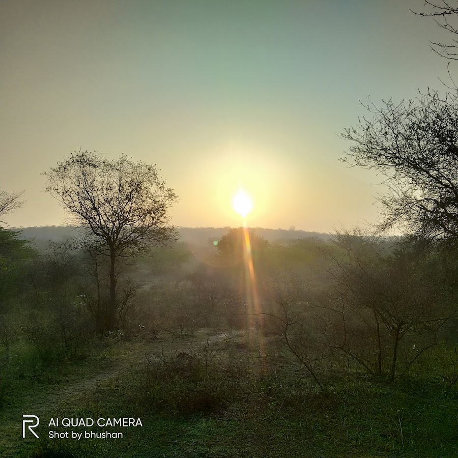 Aravalli Biodiversity Park - Photo 4