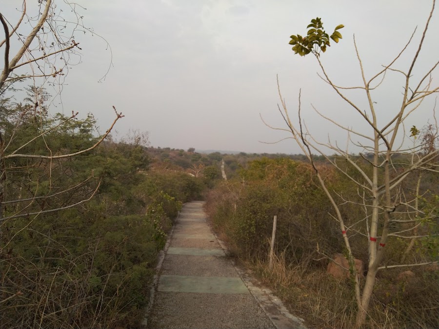 Aravalli Biodiversity Park - Photo 2