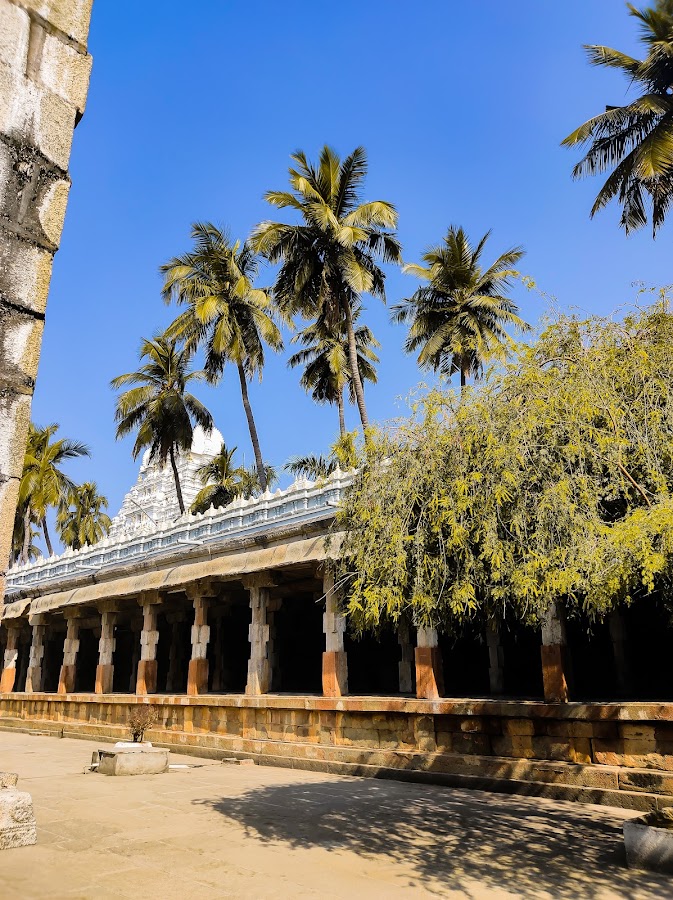 Sri Vedanarayana Swamy Temple - Photo 4
