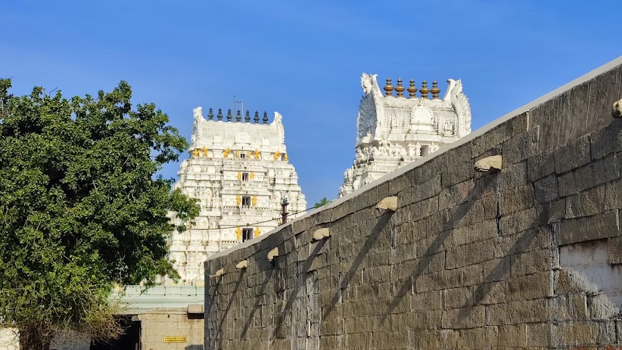 Sri Vedanarayana Swamy Temple - Photo 3