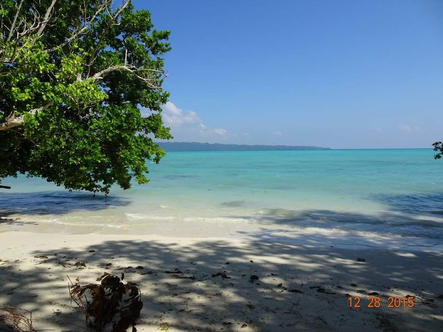 Andaman and Nicobar Islands - Photo 5