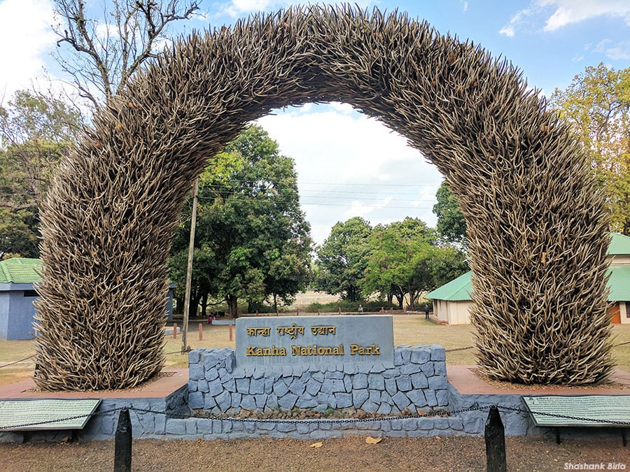 Kanha Tiger Reserve - Photo 2