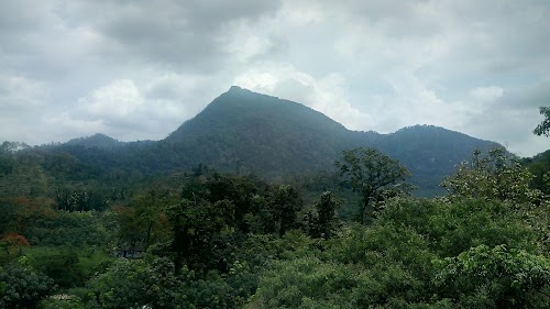 Kanyakumari Wildlife Sanctuary
