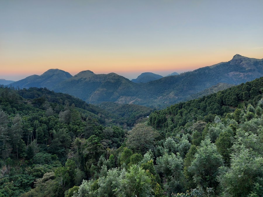 Kanyakumari Wildlife Sanctuary - Photo 2