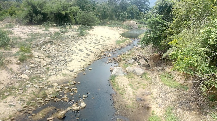 Kanyakumari Wildlife Sanctuary - Photo 3