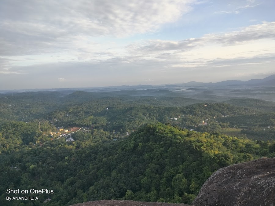 Kanyakumari Wildlife Sanctuary - Photo 4