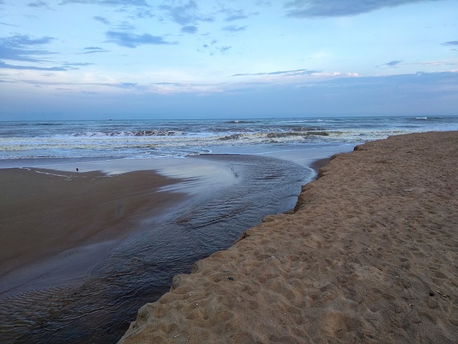 Chandrabhaga Beach - Photo 3