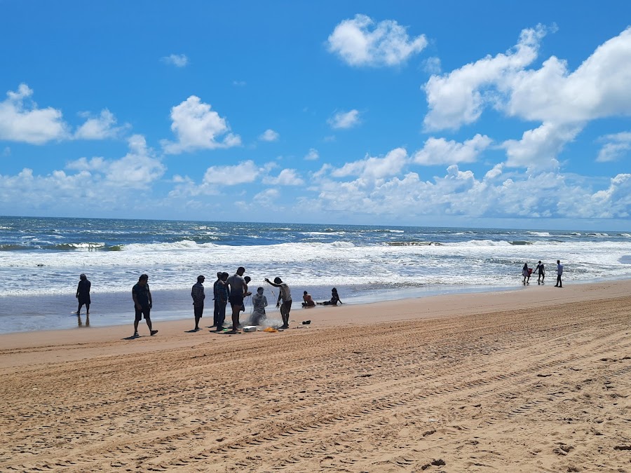 Chandrabhaga Beach - Photo 4