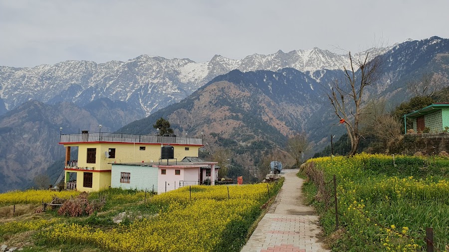 Naddi View Point - Photo 3