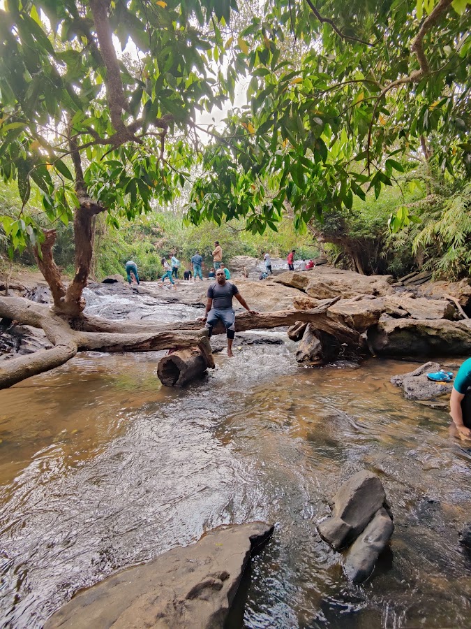 Magajahalli Falls (Abbi Gundi Falls) - Photo 3