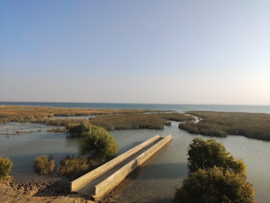 Chhari Dhand Wetland Conservation Reserve - Photo 4