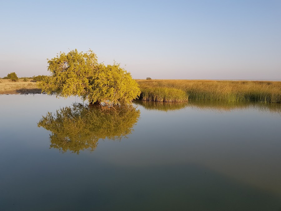 Chhari Dhand Wetland Conservation Reserve - Photo 2