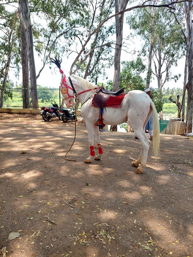 Sangam - Photo 3