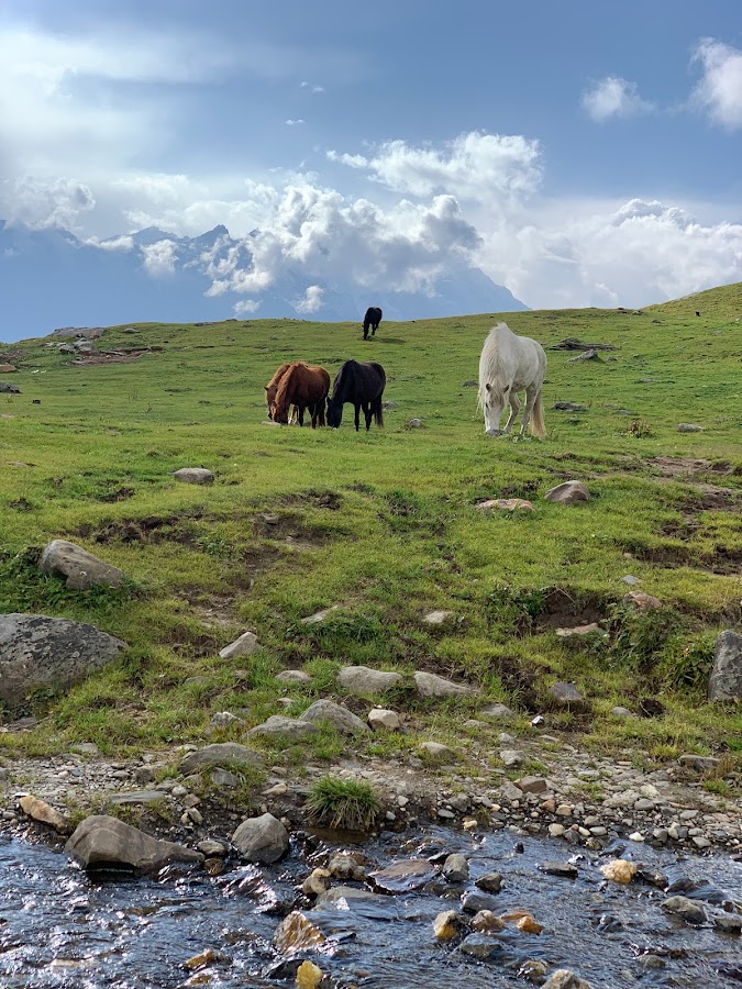 Bhrigu Lake - Photo 3