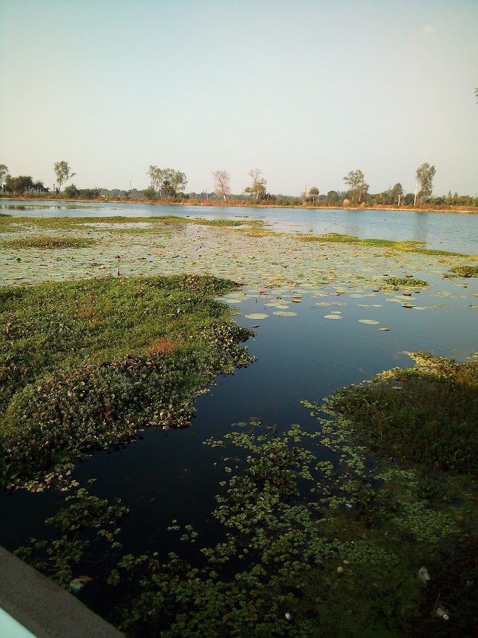 Dalpat Sagar Lake - Photo 3
