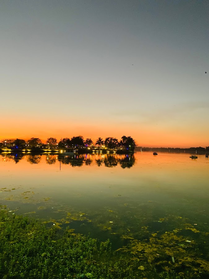 Dalpat Sagar Lake - Photo 4
