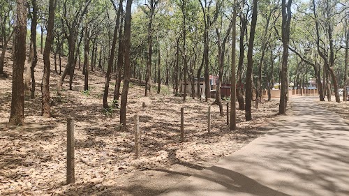 Mai ki Bagiya - Photo 4