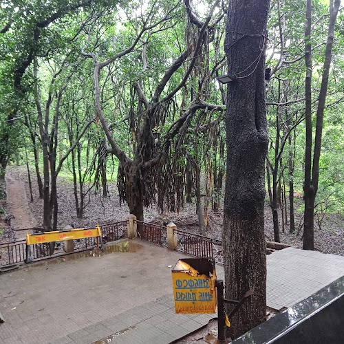Mai ki Bagiya - Photo 2