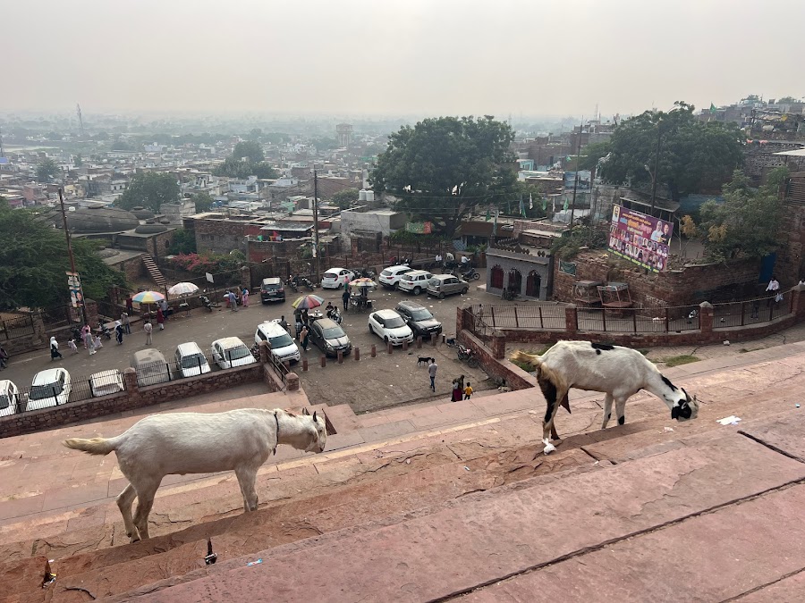 Jama Masjid - Photo 2