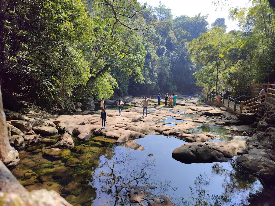 Living Root Bridges - Photo 4