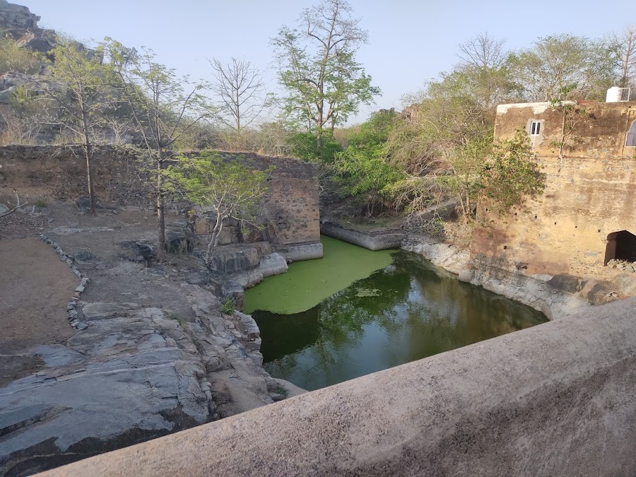 Karera Bird Sanctuary - Photo 4
