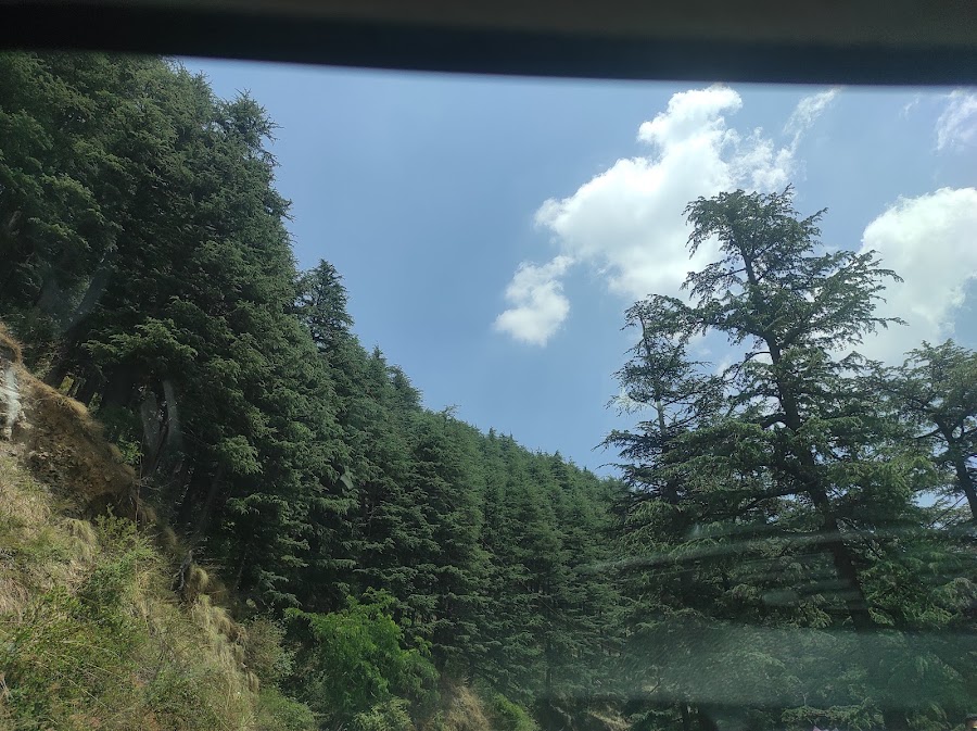Green Valley - Photo 4