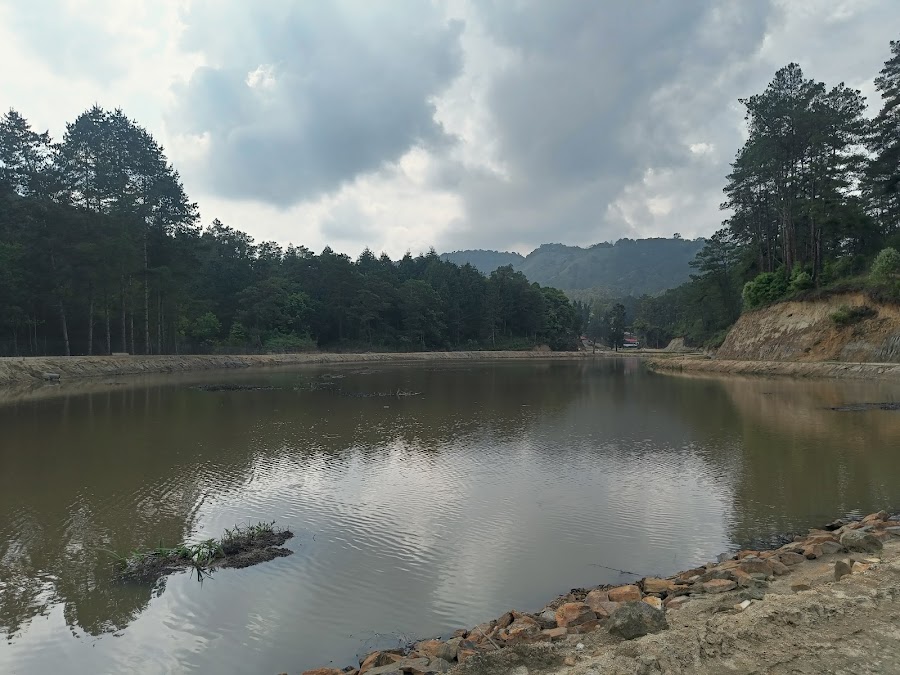 Tarin Fish Farm - Photo 2