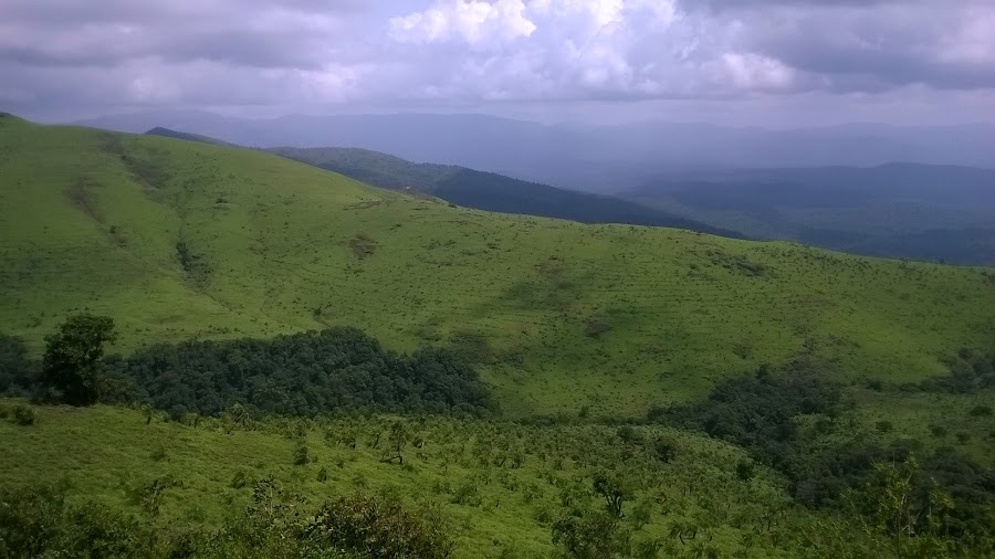 Kemmangundi - Photo 2