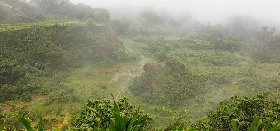 Kemmangundi - Photo 4