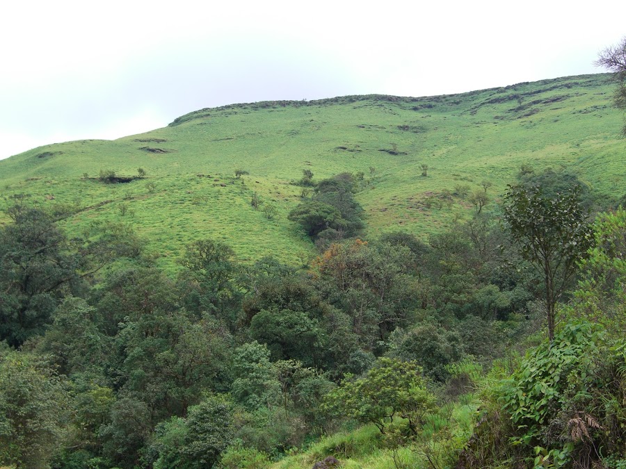 Kemmangundi - Photo 3