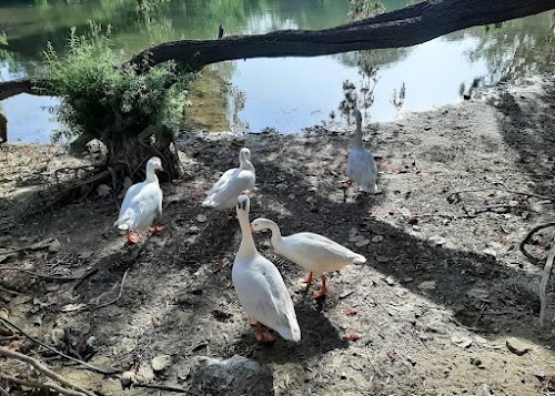 Chetak Park - Photo 4