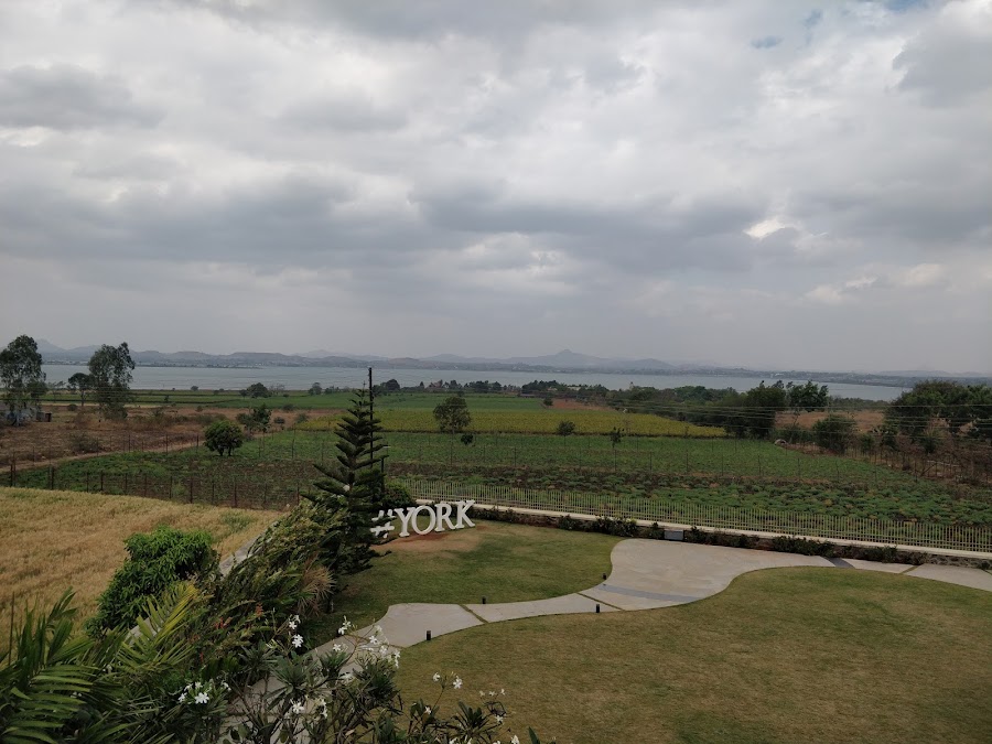 York Winery - Photo 3