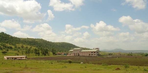 York Winery