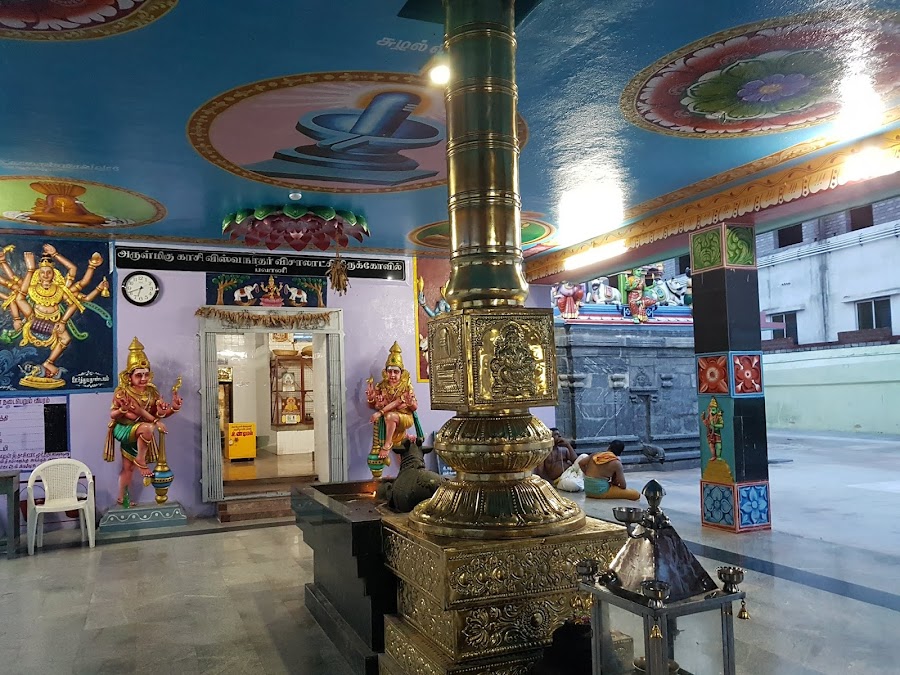 Kasi Viswanathar Temple - Photo 2
