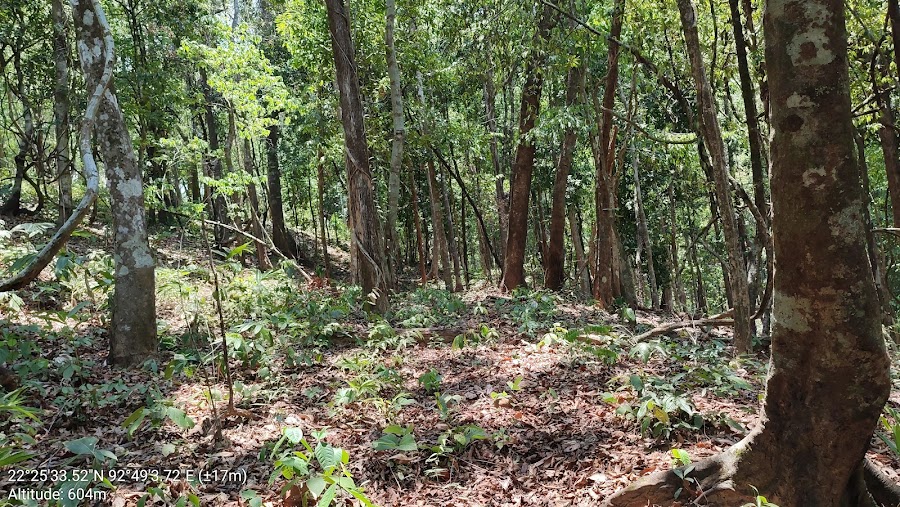 Saza Wildlife Sanctuary - Photo 2