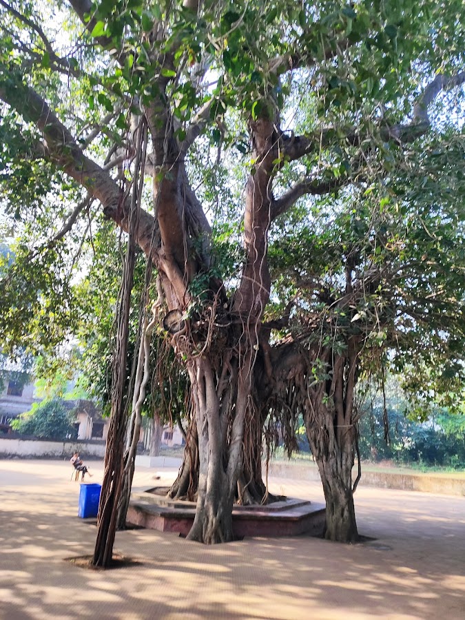 Mrinmoyee Temple - Photo 4