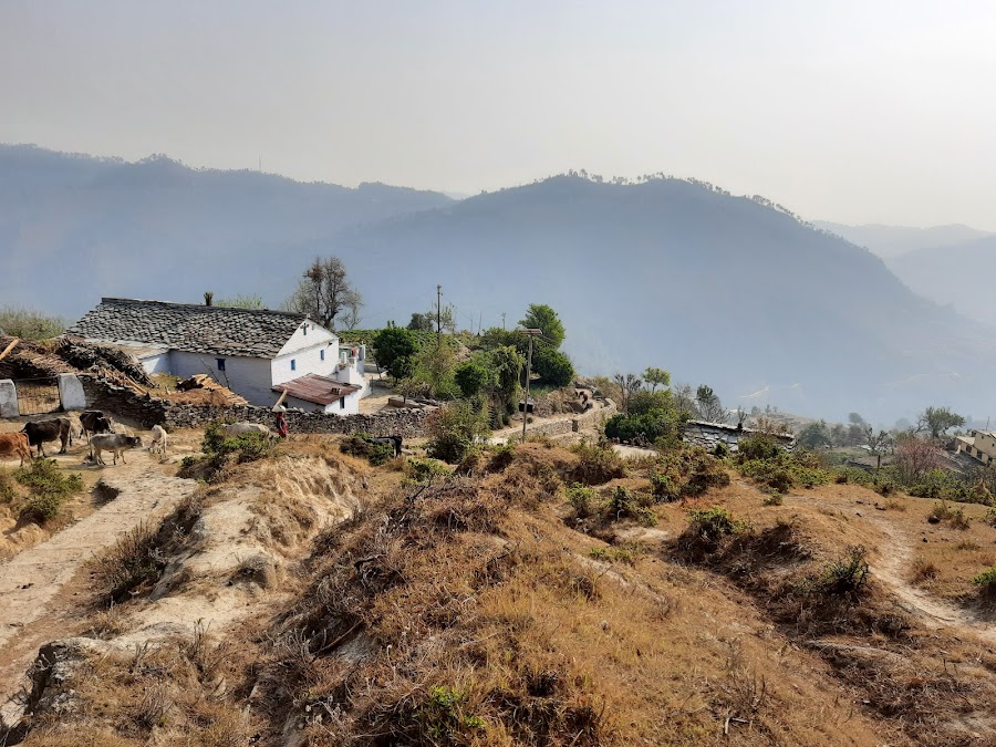 Bhalu Dam - Photo 8