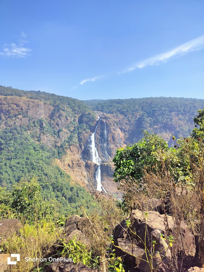 Similipal National Park - Photo 2