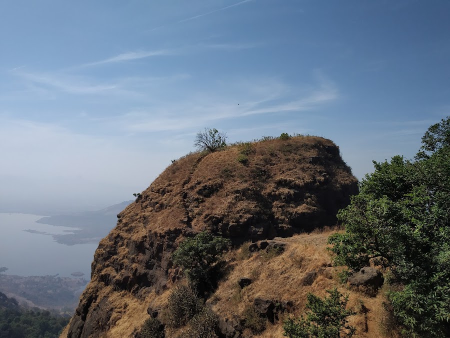 One Tree Hill Point - Photo 2