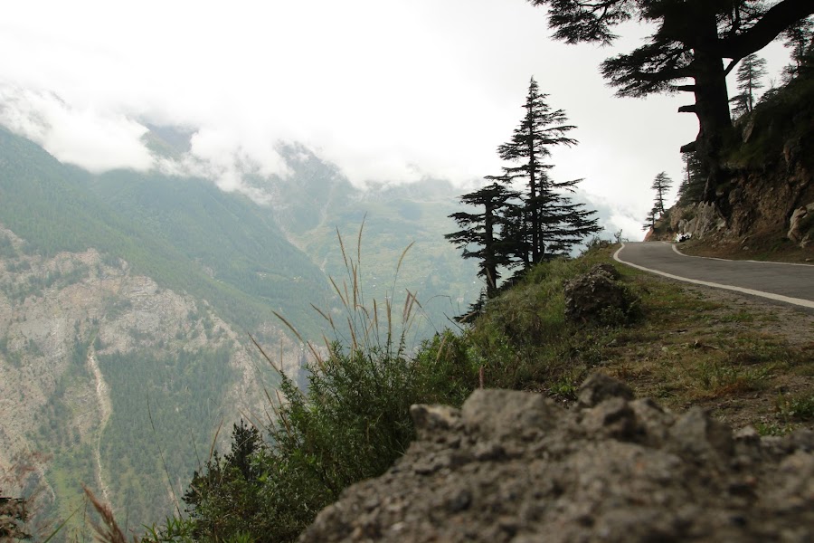 Fagu - Photo 3